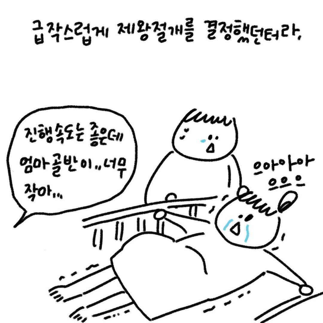 유총총 갑작스러운 제왕절개
