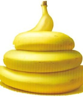 배변 훈련법의 4단계와 주의점