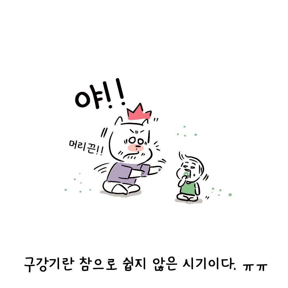 molgram  구강기
