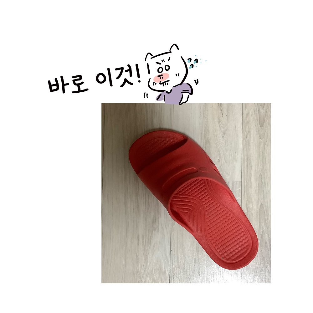molgram  구강기