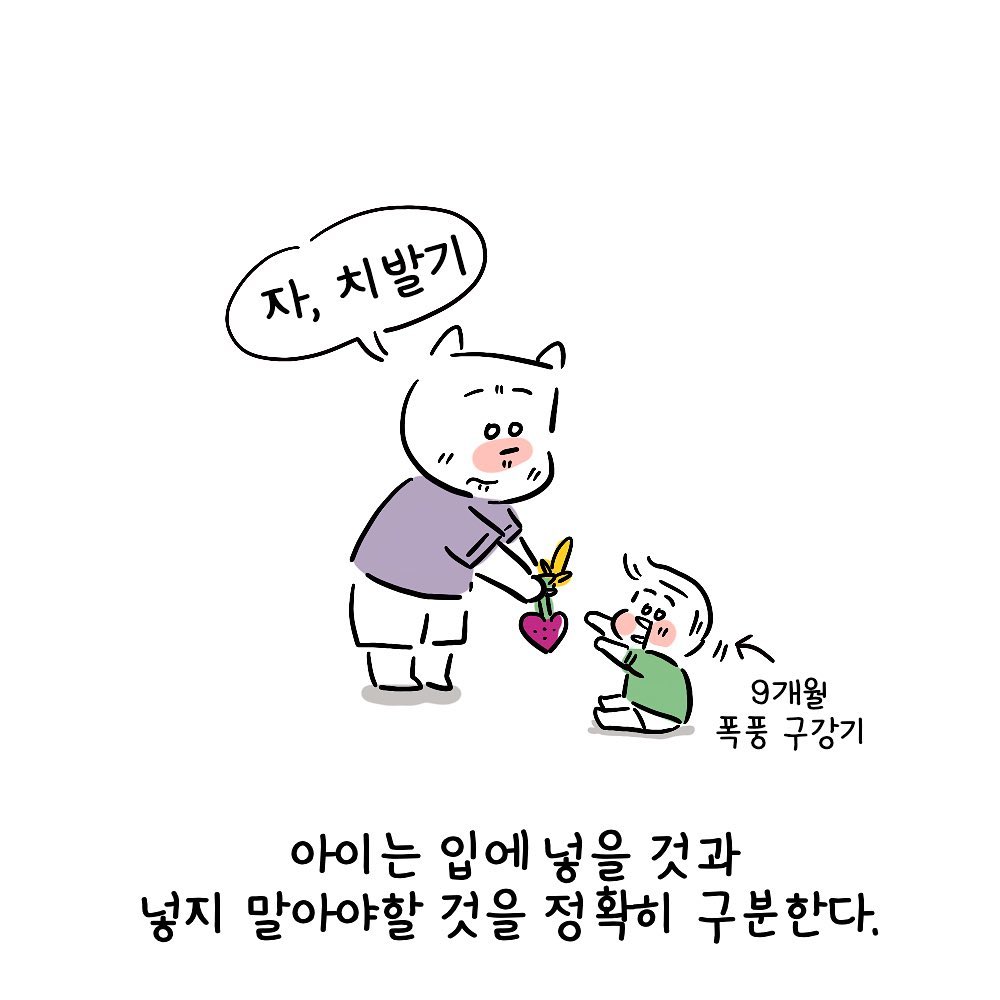 molgram  구강기