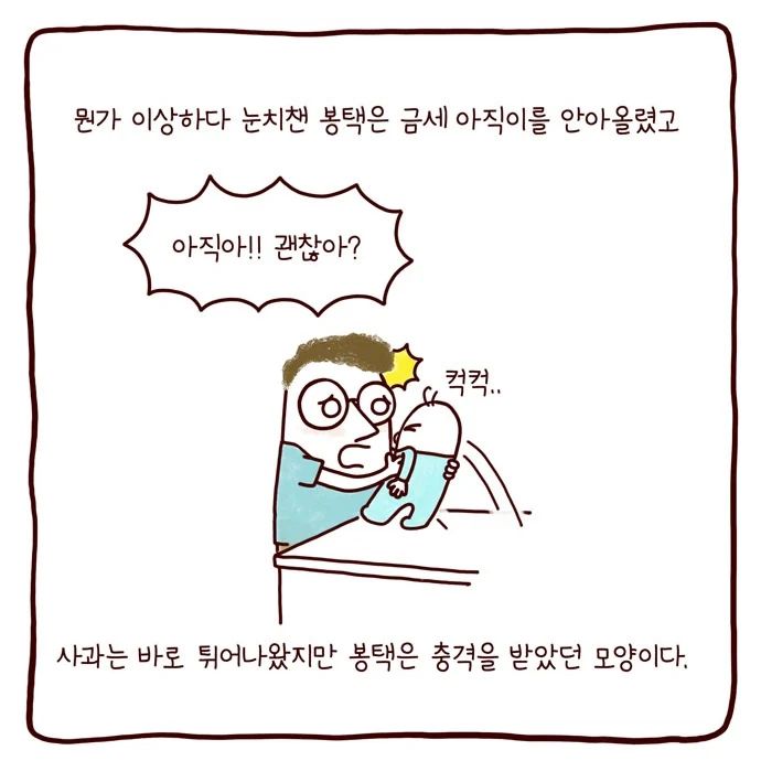 봉카툰 목에 사과 걸린 아직이