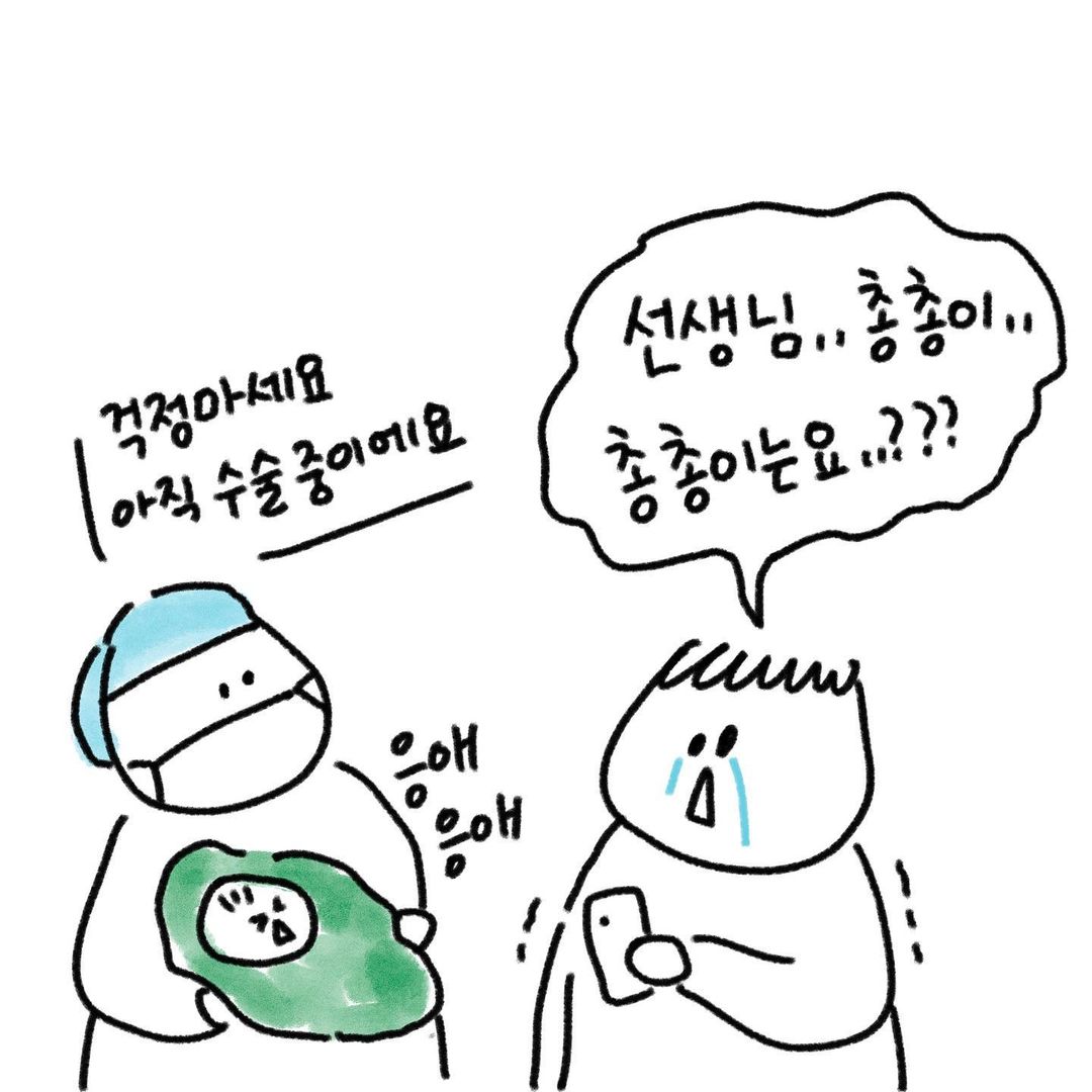 유총총 갑작스러운 제왕절개
